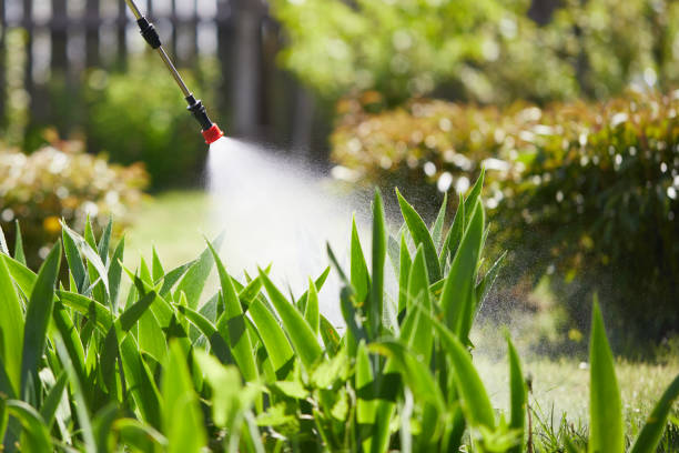 24/7 Emergency Mosquito Control experts in Owensboro, KY