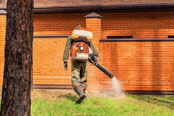 Top rated local Mosquito Control specialists in Owensboro, KY